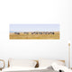 Zebras Row Walking Savannah Wall Decal