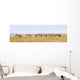 Zebras Row Walking Savannah Wall Decal