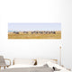Zebras Row Walking Savannah Wall Decal