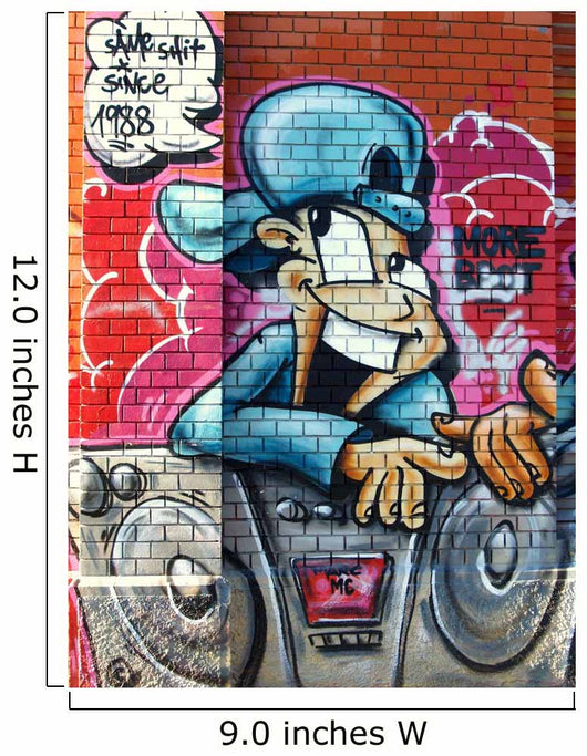tout sourire...graffiti Wall Mural