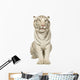 White Tiger  (3 years) Wall Decal