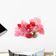 Beautiful Blooming Orchid Isolated on White Wall Decal