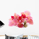 Beautiful Blooming Orchid Isolated on White Wall Decal