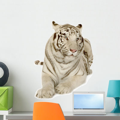 White Tiger 3 Years shown on a wall
