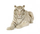 White Tiger 3 Years Wall Decal
