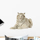 White Tiger 3 Years Wall Decal