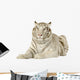 White Tiger 3 Years Wall Decal
