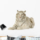 White Tiger 3 Years Wall Decal