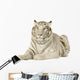 White Tiger 3 Years Wall Decal