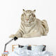White Tiger 3 Years Wall Decal