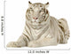 White Tiger 3 Years Wall Decal