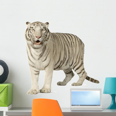 White Tiger Wall Decal shown on a wall