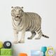 White Tiger 3 Years Wall Decal
