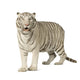 White Tiger 3 Years Wall Decal