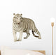 White Tiger 3 Years Wall Decal