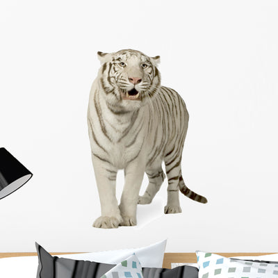 White Tiger Wall Decal shown on a wall