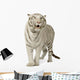 White Tiger 3 Years Wall Decal