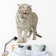 White Tiger 3 Years Wall Decal