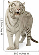 White Tiger 3 Years Wall Decal