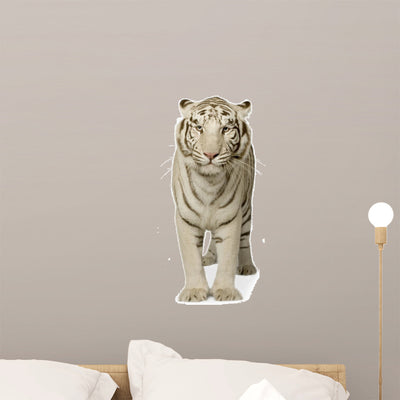 White Tiger 3 Years shown on a wall