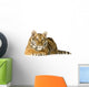 Tiger Cub 5 Months Wall Decal