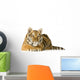 Tiger Cub 5 Months Wall Decal