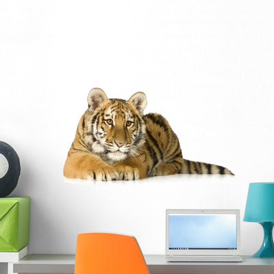 Tiger Cub 5 Months Wall Decal shown on a wall
