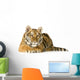 Tiger Cub 5 Months Wall Decal