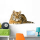 Tiger Cub 5 Months Wall Decal