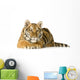Tiger Cub 5 Months Wall Decal