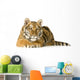 Tiger Cub 5 Months Wall Decal