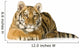 Tiger Cub 5 Months Wall Decal