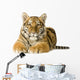 Tiger cub (5 months) Wall Decal