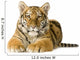 Tiger cub (5 months) Wall Decal