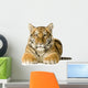 Tiger cub (5 months) Wall Mural