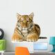 Tiger cub (5 months) Wall Mural