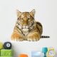 Tiger cub (5 months) Wall Mural
