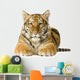 Tiger cub (5 months) Wall Mural