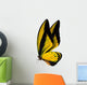 Butterfly Macro Background 