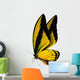 Butterfly Macro Background 