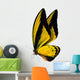 Butterfly Macro Background 