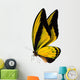 Butterfly Macro Background 