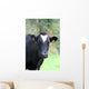 Kuhgst of the. Wall Mural
