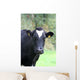 Kuhgst of the. Wall Mural