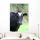 Kuhgst of the. Wall Mural