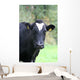 Kuhgst of the. Wall Mural