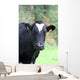 Kuhgst of the. Wall Mural