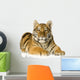 Tiger cub (5 months) Wall Decal
