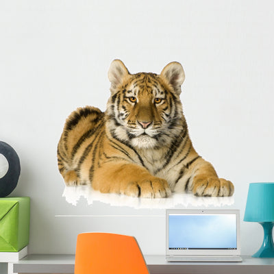 Alert Tiger Cub Wall Decal shown on a wall