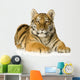 Tiger cub (5 months) Wall Decal